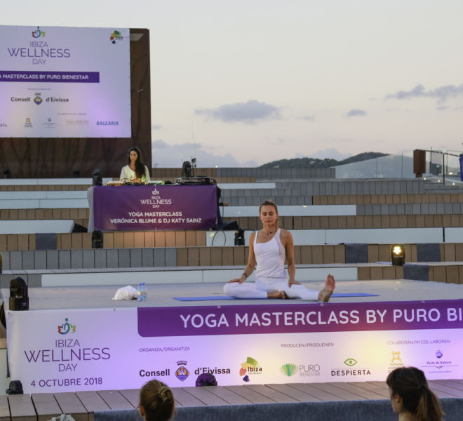 Ibiza Wellness Day 2019 Masterclass2